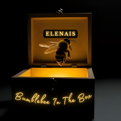 Bumblebee in The Box