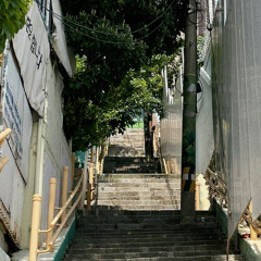청춘의 한가운데 있나 봅니다
