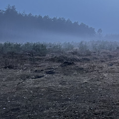 Black sub dubzz ses #1