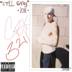 STILL GANG