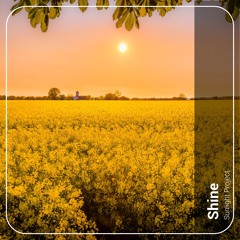 Shine (Extended Mix)