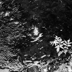 Water Distortion