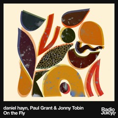 daniel hayn, Paul Grant & Jonny Tobin - On The Fly