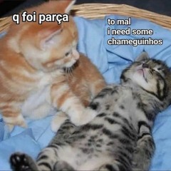 Chapa! (prod. GANG BOY COLOR)