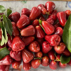 MERAH JAMBU 2K25 [ DJ SANTA ] PRIVATE