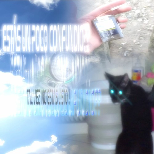 PUK3!! 😶‍🌫️ SIMULATION