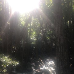 여름의 멸망 (demo)
