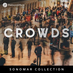 Sonomar Collection: Crowds - Demo