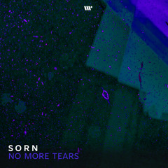 DIGITAL268: SORN - No More Tears