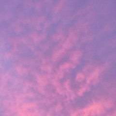 Spring Haven! (ft. jjfrmdasouth)