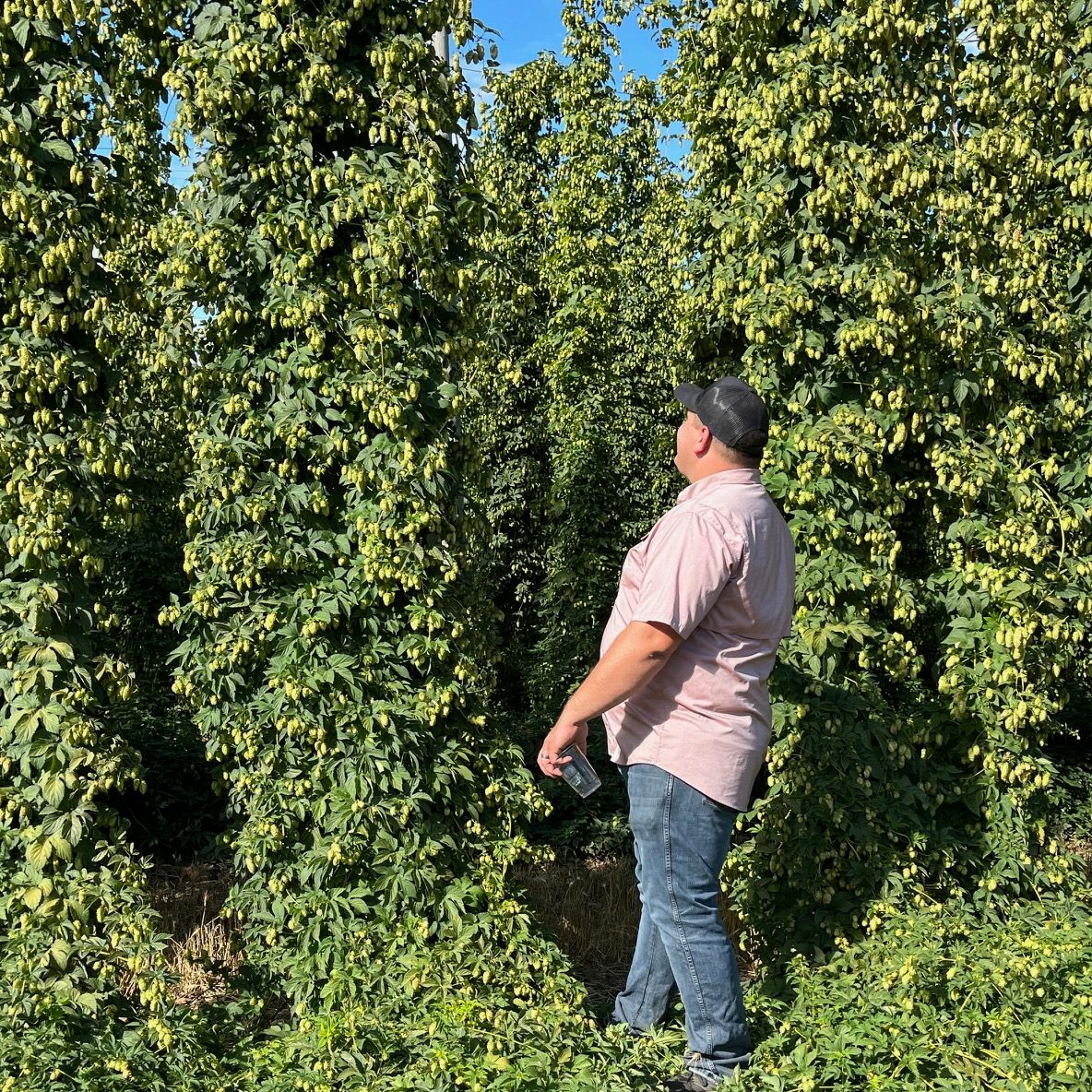 Beervana Podcast