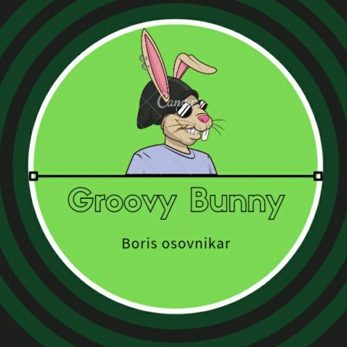 Groovy Bunny