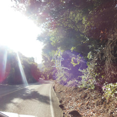 helena 03.28.25 - w/ mish and vimbai