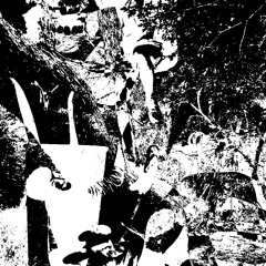 2023082202 - k_sampler.wav
