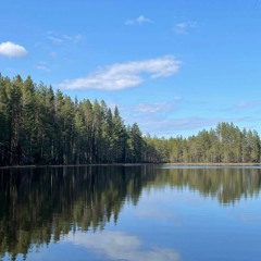 Нина Потехина -  Болото На Корыто (imprum Remix)