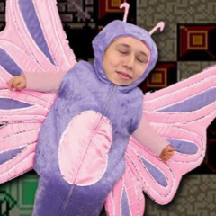 Butterflies and Rainbows