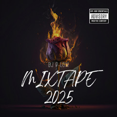 Hip Hop MIXTAPE 2025 🥳 Oldschool 🪩