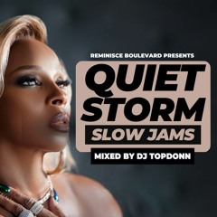 Quiet Storm Slow Jams Vol. 2 [Shai, Mary J. Blige, Keith Sweat, Anita Baker]