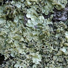 second road on the right after the roundabout