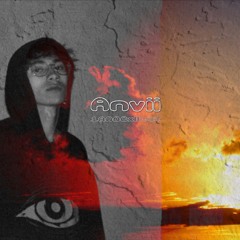 1800Cxllect Series | 015 | Anvii