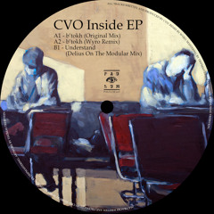 Premiere: CVO - B'tokh (Original Mix) [PAULUM005]