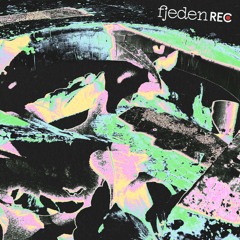 fjeden rec: Babsella at Sektor Evolution 2023