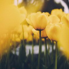 Lord, My Soul Thirsts For Life (original)