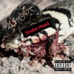 Evulholic - Snake Head ( Prod.GoSakke ) ( Mixed N Mastered By Evulholic )