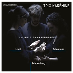 6. R. Schumann - Pièces En Canon Op.56 - V TrioKarenine 44k 16b