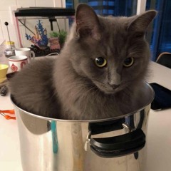 SToons - Tour De Borscht