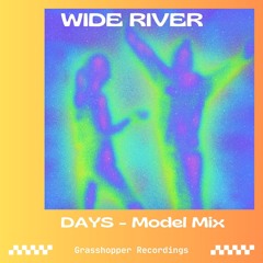 Days (Model Mix)