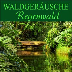 Regenwald an einer Klippe  mit Brandung