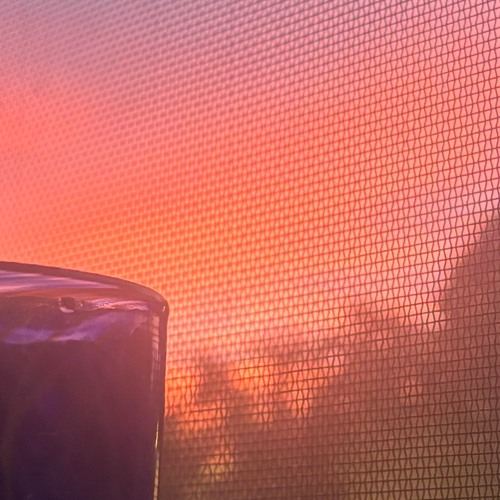 Sun bae