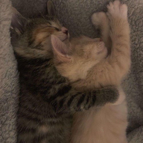 i really like you i’m gonna be really sad if you don’t come back