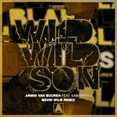 Blah Blah Blah vs. Wild Wild Son (Armin van Buuren Mashup)