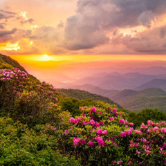 L3nababy - Roaring!!!