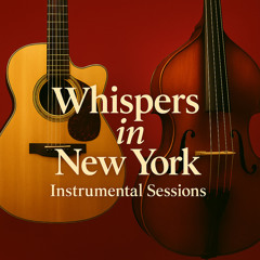 Dawn at Central Park