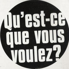 Qu'est-ce Que vous Voulez by Dam Fanel (Sampling & Bootleg Edit)