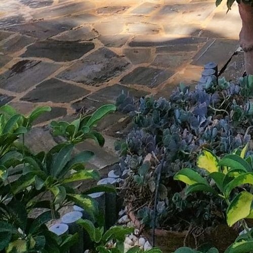 Finest Drunk Teaser