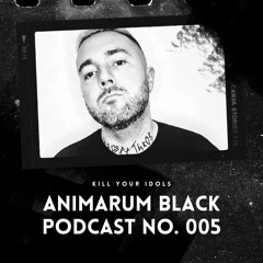 ABP No. 005 - Kill Your Idols