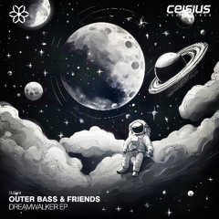Outer Bass & Shenji - Risk of Rain