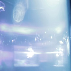 Nostalgia De Una Bicicleta Abandonada