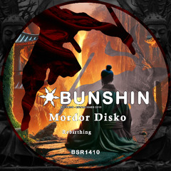 Mordor Disko - Rebirthing (FREE DOWNLOAD)
