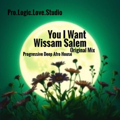 You I Want - Wissam Salem (OriginalMix)