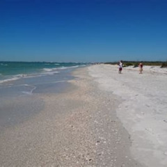 Review Special Price Small Group 2 Hour Dolphin Cruise With Snorkeling To Shell Key