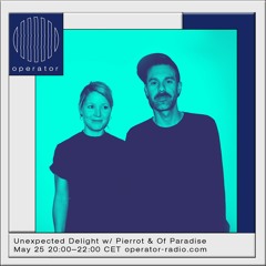 Unexpected Delight w/ Pierrot & Of Paradise - May 25 2021
