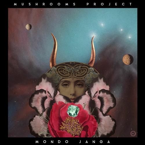 Mushrooms Project - Janga (Twerking Class Heroes Remix)