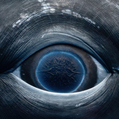 *2023*YungstxrTori -Negative wxrld (feat Yung Wyvrn)