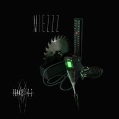 MIEZZZ Praxis 13.5 #19