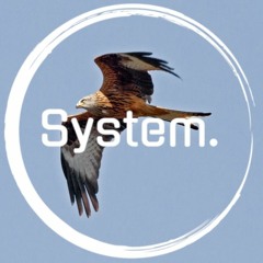 System 002
